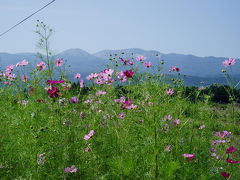 吾妻山に走る　-２００６年９月編?-