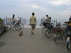 江ノ島ってシラスがうまい！初めて知ったよin江ノ島