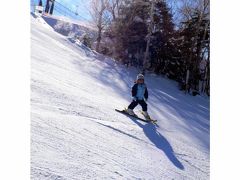 エクシブ蓼科　スキー　ディナーバイキング