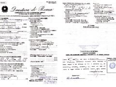 2005年イタリア旅行記(その４)サン・ピエトロ寺院−１