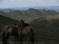 タオントルゴイット山を目指す乗馬トレッキング＆モンゴル建国８００周年イベント６日間
