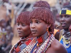 エチオピア南北周遊１７日間?ハマー村の祝宴