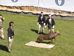 奈良公園周辺めぐり　No.2奈良公園編