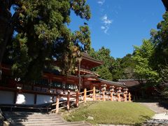 奈良公園周辺めぐり　No.3春日大社編