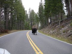 Yellowstone?