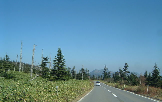 紅葉情報に誘われて、志賀高原に行きました。<br />関越自動車道、渋川・伊香保インターで降りて、草津経由で向かいました。<br />雲ひとつない晴天に恵まれて、草津・白根ルートからの眺めは<br />最高でした!<br />紅葉は横手山山頂付近が見頃でした。<br />