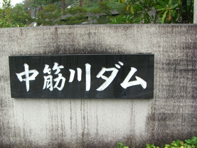 一日目<br />名神茨木ＩＣ→山陽道三木ＪＣＴ→淡路ＳＡ→鳴門北→板野ＩＣ→お墓参り→土柱→阿波池田→小歩危・大歩危→旧立川番所書院→大杉（道の駅）→八坂神社→娘宅（南国市、宿泊）<br /><br />二日目<br />桂浜→入野松原→めじかの里土佐清水（道の駅）→竜串・見残し→足摺岬→柏島・観音岩→ベルリーフ大月（宿泊）<br /><br />三日目<br />すくも（道の駅）→コスモス畑（大月町）→中筋川ダム→トンボ公園→四万十川遊覧（佐田沈下橋・三里沈下橋）→佐田沈下橋→津賀ダム→めがね橋→佐渡ダム→四万十大正（道の駅）→轟公園（石の風車）→ゆすはら（道の駅）→娘宅（宿泊）<br /><br />四日目<br />大山（道の駅）→田野駅屋（道の駅）→奈半利（サンゴウォチング、欠航）→キャラメッセ室戸→室戸岬→最御崎寺→野良時計→南国ＩＣ（高知道）→徳島ＩＣ（徳島道）→鳴門（神戸淡路鳴門道）→三木ＪＣＴ→茨木（名神）<br />