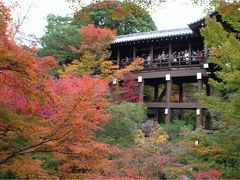 ジャンボオーナーズ京都　東福寺の紅葉