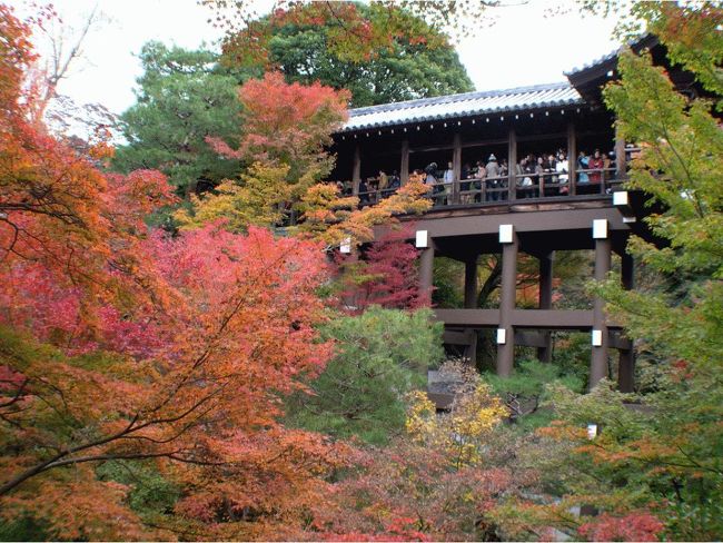 石垣島からの帰り、ジャンボオーナーズ京都に泊って東福寺の紅葉を見てきました。<br />１１月最後の週末で、見納めになるかもしれない紅葉を見ようと沢山の人が押しかけて、境内は歩くのもままならないほどの人並みに流されながら、名所の紅葉を楽しんできました。