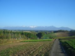 トンボ飛び交う秋の北海道（美瑛周辺）