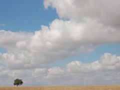 スペインにタビをしました【３日目】−サフラのちカルモナ