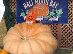 世界一カボチャは５５５Kｇ:  36th Half Moon Bay Pumpkin Festival