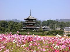 斑鳩の里散策編