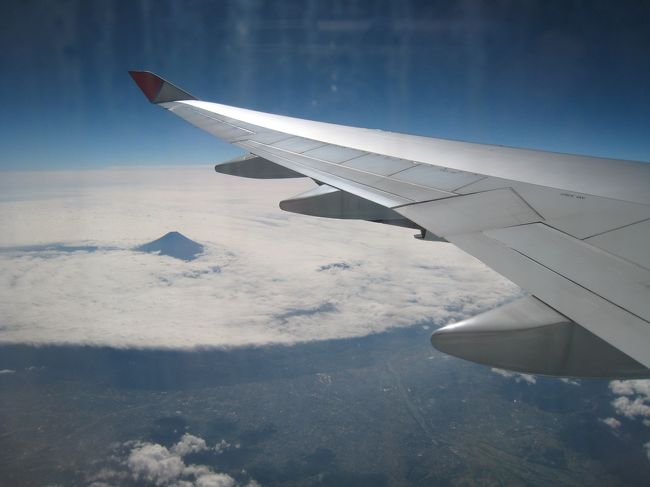 今までの飛行機の中で食べたごはんです。<br /><br />富士山が見えました。