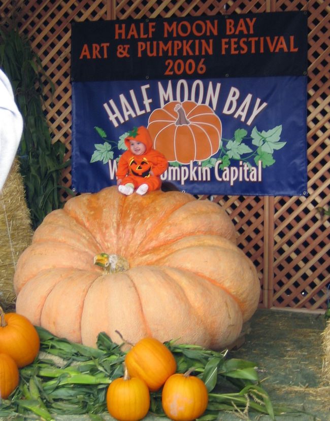 カボチャ世界一のコンテストで有名な、Half Moon Bayのパンプキン・フェスティバルに行って来ました。ハロウィンのお祭りです。<br /><br />サンフランシスコの南２０Kmの太平洋沿いにあるHalf Moon Bay市。<br />普段はのどかな海辺の町ですが、Hallowinシーズンは異常に盛り上ります。世界的に有名なパンプキン・フェスティバル（カボチャ祭）が開催されるのです。<br /><br />今年のカボチャは１２２３ポンド（５５５Kg)、小錦の２倍以上です。<br /><br />街のメインストリートに沢山のお店が出て、日本の秋祭りの感じです。周りの広場では、舞台が設けられ、ロックバンドが演奏しています。日本と違うのは、お店が道の真ん中に両側を向いて作られる事です。人通りは分散されていいのですが。全部のお店を見るためには、往復しなくてはなりません。<br /><br />お昼から、Pumpkinパレードです。思い思いに仮想した人たちが練り歩きながら、おかしを観客に撒いています。節句の豆まきを思い出してしまいました。<br /><br />お昼はおしゃれなHalfMoonBayInnのレストランで頂きました。<br />signatureDish(店一番の自慢料理)という、シーフード・シチューを食べました。体が温まって美味しかったです(^^)<br /><br />帰りに、Hallowin用のカボチャを売っている農家を訪問。<br />今回は写真だけ。<br /><br /><br />＜HalfMoonBayPumpkinFestival情報＞<br />１．Pumpkin世界一Contest：Colombus Day(コロンブスの日）の翌日曜日<br />２．Festival：その翌週の、土曜、日曜<br />３．WEB：http://www.miramarevents.com/pumpkinfest/