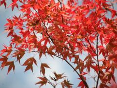 富士山一周ブラリ旅=富士吉田編=