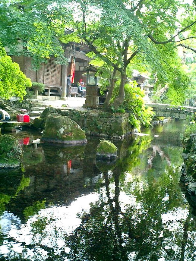 秋の晴れた日に、日帰りのプチ旅もいいですね。<br /> ふと思い立って電車で二時間、滋賀の湖北に赴きました。