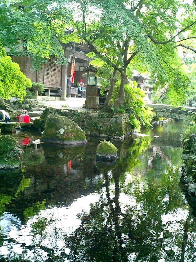 　秋の晴れた日に、日帰りのプチ旅もいいですね。<br />　ふと思い立って電車で二時間、滋賀の湖北に赴きました。