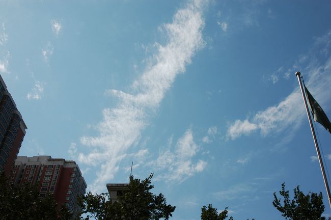 8月31日。<br />烏魯木齊滞在の3日目は、こま自身のアクシデントで画像が無い。<br /><br />この日こまは、朝から体中が怠く痺れたようになって動けなかった。<br />持病の腹痛でもなく、しかし、お腹も働いていないようで、感覚的にそれは判った。<br />考えるに、やはり夕べの激辛拌面(ラグ面)が効いたようだ。<br />あんなに辛い拌面は邪道だろうが(辛いのは有るが基本的に微量)、辛さにコクがあって旨かったのは確かだ。<br />しかし、7月に1ヶ月一寸の間、腹下しを経験しているこまの胃袋にとって、あの辛さはきっと毒だったに違いない。<br /><br />朝食も昼食も全て抜き、夜まで安静にしていたら、夕方頃からマシにはなってきた。<br />夜になって、爺ぃがの差し入れてくれたあっさりした湯面を漸く頂き、今日一日を「不動の一日」で過ごした。<br /><br />その間、クニクニには申し訳ない事をしたが、爺ぃの友人宅巡りでウロウロしたという。<br />行く予定にしている博物館やバザーには、今日は行ってないらしい。<br /><br />それらのリベンジは、明日か南疆から戻ってからさせて戴くとして、今日はこまにお休みを下さい。。。<br />
