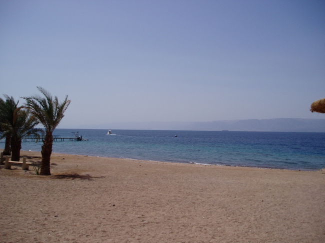 国内編（沖縄）続き、外国編の１回目です。<br />（旅行時期が半年ほど、ずれていますが、初投稿で、お許しを）<br /><br />ルート：成田ーー（IST)−−ヨルダンーー（陸路）ーーシリア<br />　　　　ーー（陸路）ートルコーー成田<br /><br />トルコは２回目ですが、ヨルダン、シリアは初めてだったので移動に時間が掛かり、約３０日間日程故、主な観光地のみの訪問となりました。<br /><br />エアー・ホテル等事前の予約無し・アラビア語NG・英語（サバイバル・クラス）なので、アラブ商人と悪戦苦闘。<br />特に、シリアでは、観光関連の人でも、英語NGが大半。<br /><br />シリアのみ、東京のシリア大使館でビザ取得。