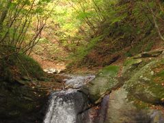 紅葉づきはじめた塩原渓谷　☆やしおコースを歩いて・・