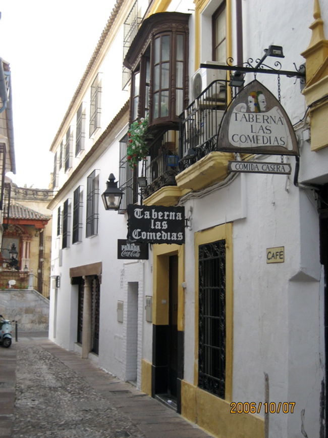 ２００６年１０月２日出発、ツアー６日目は午前中はコルドバ観光、バスで移動して午後はセビリア観光と盛りだくさん。メスキータは独特でインパクトが強いけど、セビリアのカテドラルは他のところと似ているし、歩かサールじゃなくてアルカサール（ほんとによく歩く！）はミニアルハンブラ宮殿という感じで、塔があるところも白い町があるところも２つの都市は似ているものだからなんだか印象が薄れてゴチャゴチャになってしまった。疲れも出てきたし、、、。私だけかな、、、。