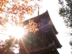 2002年秋　京都の紅葉と庭園