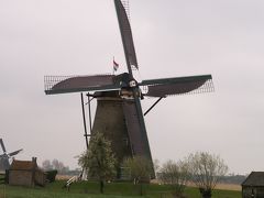 §オランダ§　花と風車