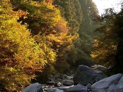 尾白川渓谷の紅葉散策