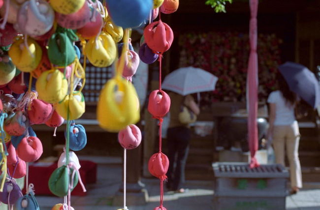 京都に行って来ました。<br />京都には何回か旅行に来たことがあるし、東山エリアには毎回行っているけれど、いつも清水寺ばかり。<br />今回は、前々から興味のあった六波羅蜜寺や、その近くの法観寺、建仁寺などを訪ねてみました。<br />