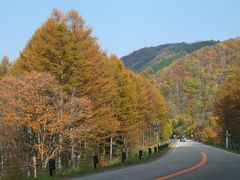 ★せせらぎ街道　黄葉ドライブ　2006