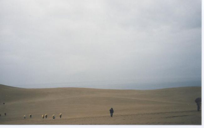 一面の砂の世界、本物のサハラはまだですが、先日登録した、ペルーのイカに似た砂の世界でした。<br />2016年２０年ぶりにちょっと行ってきました。美術館以外はそう変りないかも。<br />