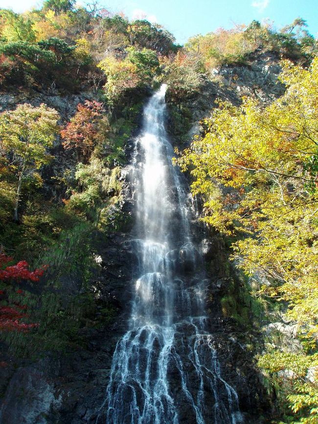 滝めぐりシリーズ第３弾は、日本の滝１００選に選ばれている兵庫県随一の名瀑といわれる天滝です。天滝はＮＨＫ朝のドラマ「ふたりっ子」のオープニングに登場した滝としても知られています。<br /><br />天滝への登山道は天滝渓谷に沿っており、「森林浴の森１００選」や「兵庫県森林浴場５０選」にも指定されています。登山道入口から天滝までは１．２ｋｍ程のアップダウンのある山道ですが、途中個性豊かな大小の滝がいくつか見られ飽きません。そしてついに天滝の姿を見た時は、その迫力と美しい姿に思わず歓声を上げてしまったほどです。写真を撮ったり、お弁当を食べたりして１時間ほど過ごしました。<br /><br />これから滝めぐりをしていく中で、これ以上のインパクトのある滝にはそうそうめぐり合えないのではないかとちょっぴり心配になりました。