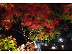 2.エクシブ山中湖 夜のラウンジ　ホテル主催の無料バスツアー 心静かに紅葉を見る会 河口湖紅葉祭りもみじ回廊