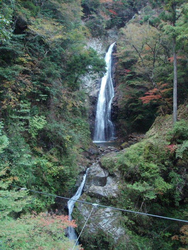 天滝の次に向かったのが、やはり日本の滝１００選に選ばれている原不動滝です。天滝公園から車で３０分程度で行くことができます。兵庫県と鳥取県の県境に聳える氷ノ山の周りには、この原不動滝と天滝のほかに猿尾滝、雨滝と４つの日本の滝１００選に選ばれている滝があります。他にも多くの滝があるようで、このあたりはまさしく滝の宝庫と言えるでしょう。<br /><br />さて、原不動滝は落差８８ｍを３段になって落ちる滝です。滝までは遊歩道等が整備されていて、比較的楽に滝を見ることができます。ただし２００円の入場料が必要ですが…このあたりは紅葉の名所ですが、残念ながらまだまだ早かったようです。ちょっと気になったことは、もみじの葉が色づくというより茶色くなっている木が多く見られたことで、もしかすると今年は紅葉があまり良くないかもしれません。