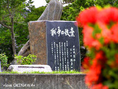 石垣島で1ヶ月の生活体験