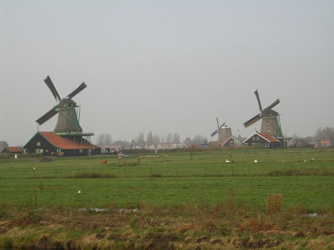 ドイツ在住の友人とオランダ・ベルギーの旅へ。<br />おお、これが有名なドイツのアウトバーンか･･･と思う間もなく、すっ飛ばしてオランダへ。<br />最初はザーンセスカンスで風車。風車見たら、オランダに来たんだ〜って実感。<br />午後にはアムスへ移動。<br />アンネの家を見学。<br />夜にはブレダという小さな街に泊まることに。<br />