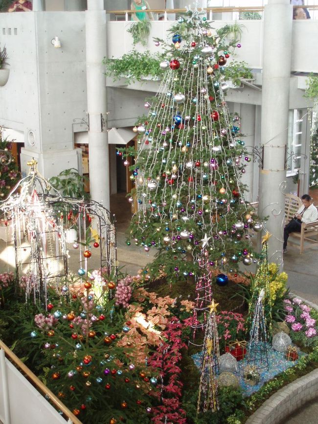 11月7日からフロラールクリスマスが始まるという事で初日に行ってきました。今年のアトリウムガーデンのテーマは「星に願いを・・・」だそうです。<br /><br />開館時間は9:30〜17:00<br />月曜定休<br />JR総武線稲毛駅、<br />JR京葉線稲毛海岸駅からバス<br />千葉市の施設なので<br />入場料なんと200円です。