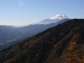 菜畑山