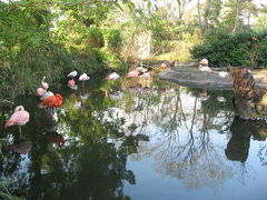 八木山動物公園