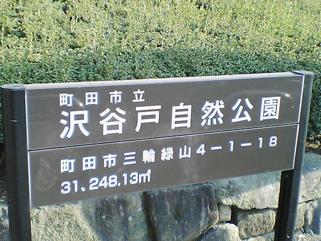 青葉区と麻生区の間になぜか東京都がある。そこの沢谷戸自然公園に行ってきた。