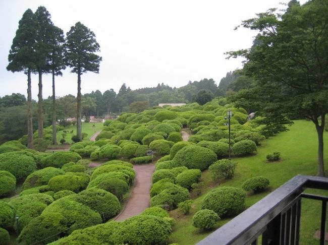 つつじで有名な「山のホテル」ですが、そのつつじの大きいことと言ったら！ <br />お部屋から望むつつじ庭園。こんもりと茂ったつつじは、直径３メートルにもなって圧巻です。 http://blogs.yahoo.co.jp/yubaba1717