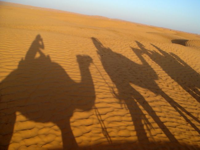 今日は、これからショット・エル・ジェリド（塩湖）を通って、いよいよサハラ砂漠に突入です。<br />サハラ砂漠でラクダに乗る、というのは、この旅行記の題名にも挙げたように今回の旅の目的のひとつでもあったので、とても楽しみにしていました。<br />今回は、サハラの中でも、特に赤茶けた砂が美しいとされる「クサール・ギレン」まで足を延ばし、そこで１泊する予定です。<br />宿泊先は、「豪華な５つ星テントホテル」にするか、「簡易テント」にするか、最後まで悩んだのですが、結局有名な『パンシアホテル』にしました。<br />念願のラクダツアーですが、夕刻を予約しお金まで払ってあるのに、西洋人団体にラクダを横取りされてしまい…すったもんだの末、つぎの日の早朝に乗ることに。<br />次の日も、なかなかラクダ＆ラクダ使いが起きてこず、このままらくだに乗れず終わるんじゃないか…と危惧しましたが、結果的には無事乗れました。<br />早朝たたき起こされたラクダの皆さん？はややご機嫌ナナメでしたが…<br />それでは、ごらんください。<br /><br />【５日目】早朝タメルザを出発→塩湖経由→途中ドゥーズにて木曜市見物→クサールギレンへ。《クサールギレン泊》<br />【６日目】ラクダツアー→マトマタ→スファックスで４ＷＤから降ろしてもらい、ここで2泊3日の南部ツアー終了！<br />