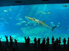 沖縄の扉　沖縄美ら海水族館