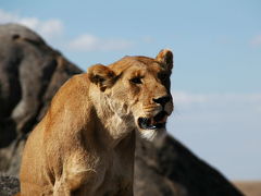 Serengeti National Park