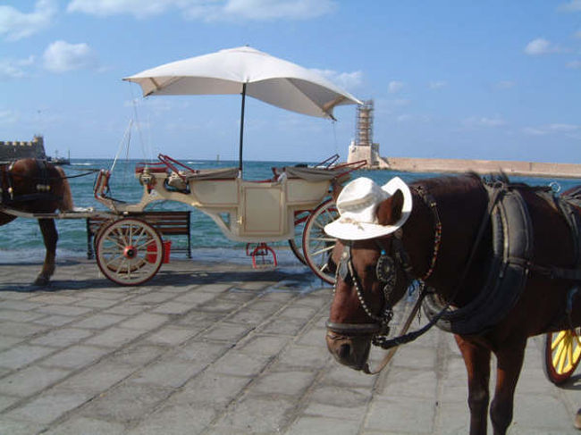 2005年の10月に行ってきたクレタ島の旅行記です。<br />ハニアに泊まりました。<br />クレタ島大好き。ああーまたいきたい!<br />ホームページURL:<br />http://utrecht.michikusa.jp/contents/kreta01.html