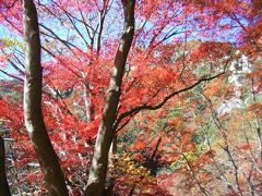 昇仙峡もみじ狩り