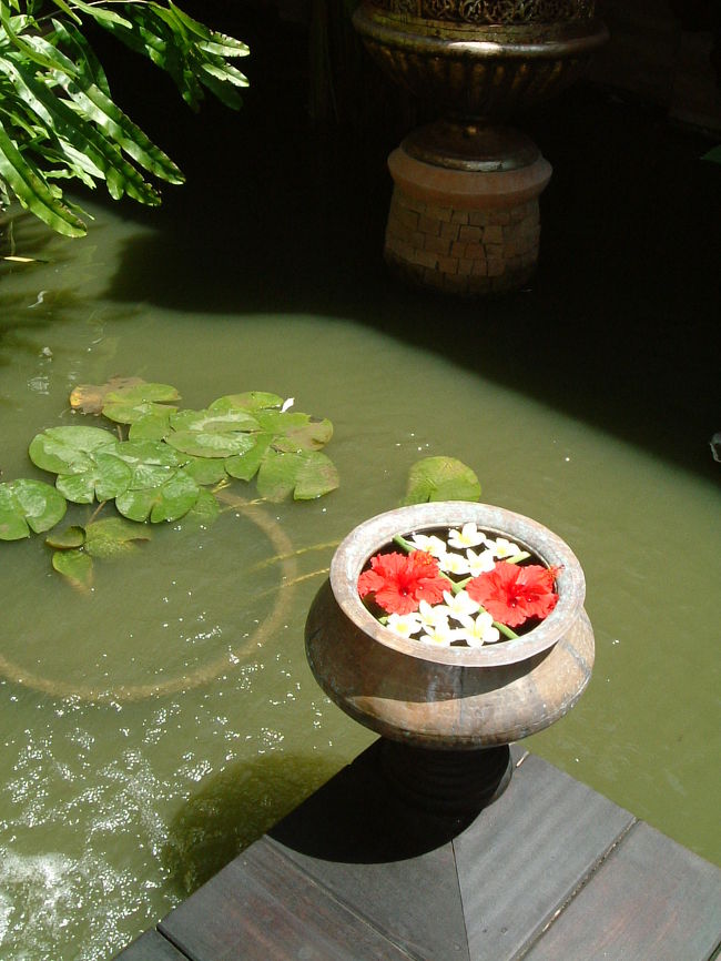 タイ　プーケットにて挙式。<br />タイ好きのため、挙式するならぜったいタイで！！<br />という念願を果たし・・・<br />