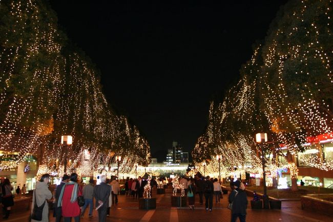 　毎年11月も押し迫ると、いっきに今年も年末が近ずくいて来たという気になります。そうなると、東京でもあちこちでクリスマス・イルミネーションが飾られ、街が一段華やかさを増してきました。<br /><br />東京の銀座、新宿、町田、多摩など各地の冬の風物詩を訪ねてきました。