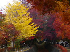 河口湖紅葉祭り